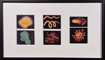 001 Annie Besant